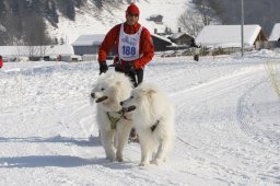 Lenk 2012 SM